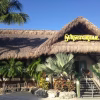 Sunset Grille & Raw Bar