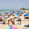 Haulover Naturist Beach