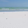 Siesta Key Beach