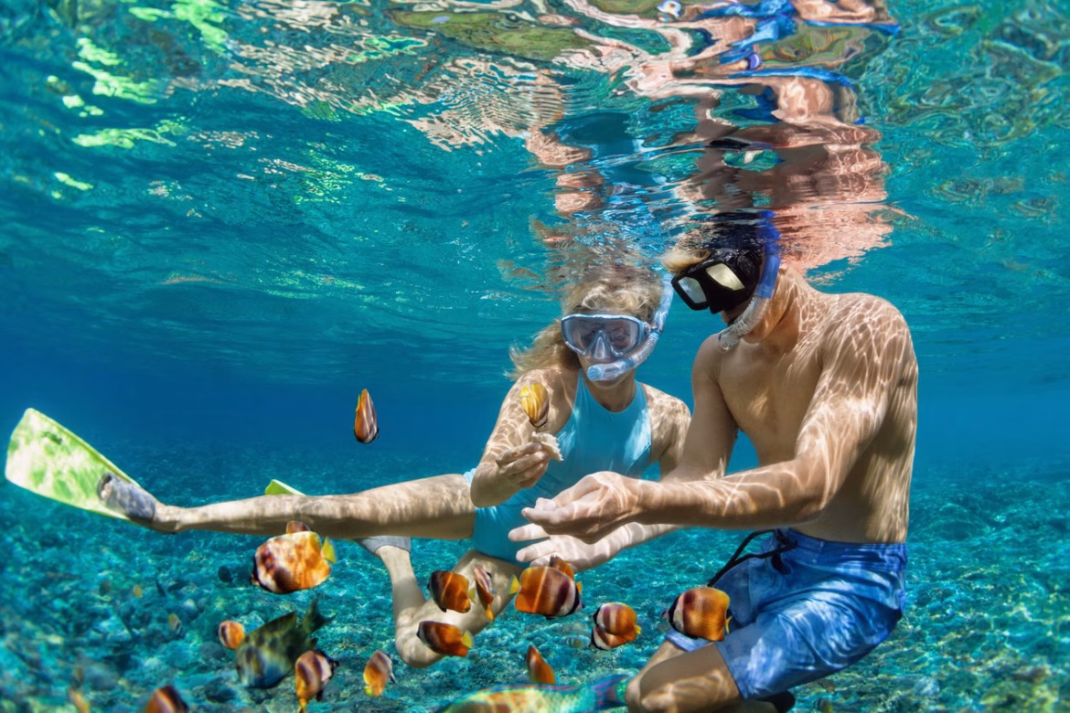 Best Snorkeling Spots in the Florida Keys